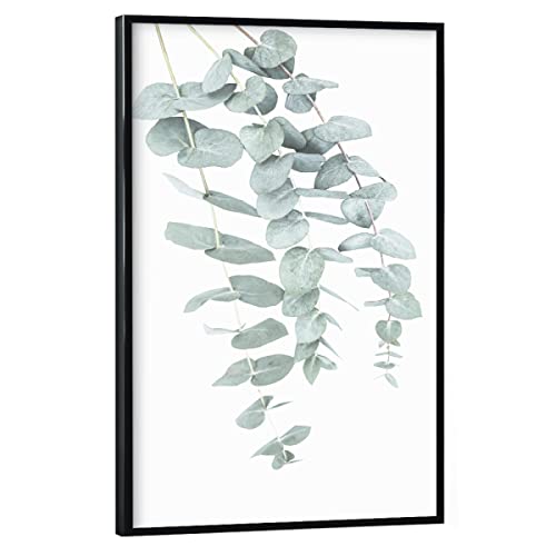 artboxONE Poster mit schwarzem Rahmen 30x20 cm Prints & Kunstdrucke Natur Eucalyptus I - Bild eukalyptus von artboxONE