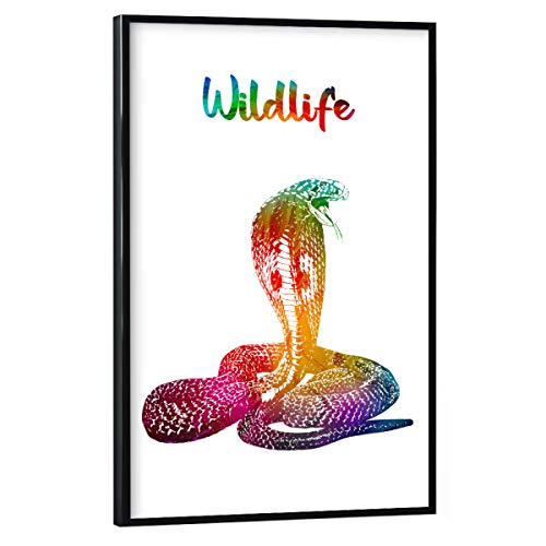 artboxONE Poster mit schwarzem Rahmen 30x20 cm Tiere Kobra - Bild Tiere Schlange Terrarium von artboxONE