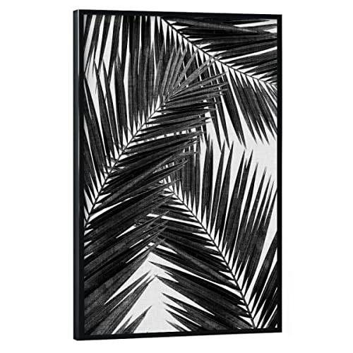 artboxONE Poster mit schwarzem Rahmen 45x30 cm Natur Cohune Palm III Black White - Bild palmblätter schwarzweiß von artboxONE