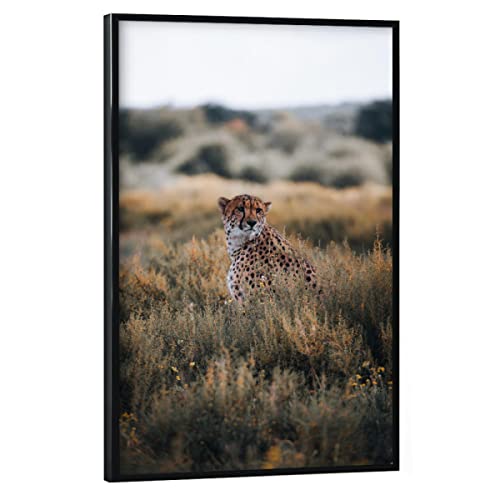 artboxONE Poster mit schwarzem Rahmen 45x30 cm Natur Gepard in Namibia - Bild Gepard Animal cat von artboxONE