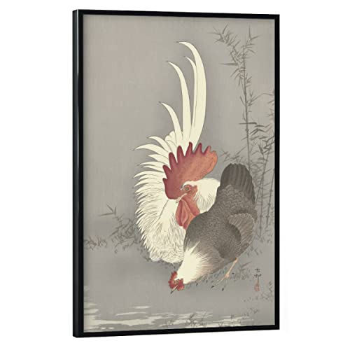 artboxONE Poster mit schwarzem Rahmen 45x30 cm Natur Hahn und Huhn - Bild hahn hahn Huhn von artboxONE