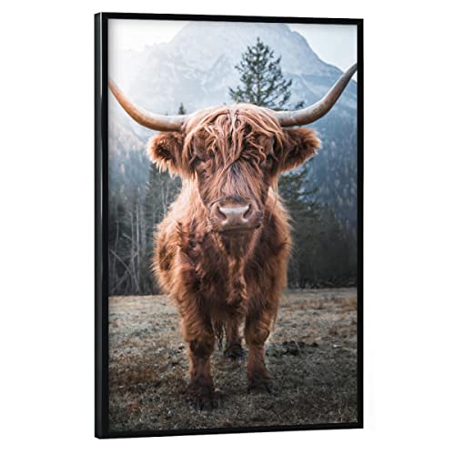 artboxONE Poster mit schwarzem Rahmen 45x30 cm Natur Highland Cow in Nature - Bild Highland Berge Cow von artboxONE