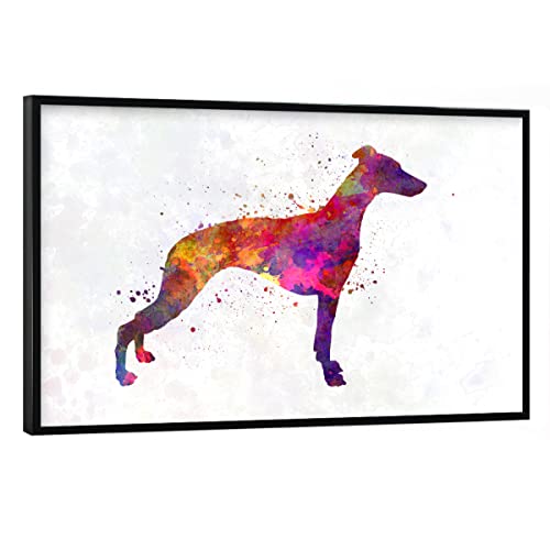 artboxONE Poster mit schwarzem Rahmen 45x30 cm Tiere Whippet in Watercolor - Bild Dog Animal bunt von artboxONE