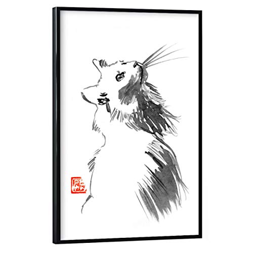 artboxONE Poster mit schwarzem Rahmen 45x30 cm Tiere White cat hochwertiger Design Kunstdruck - Bild cat Chat Katze von artboxONE