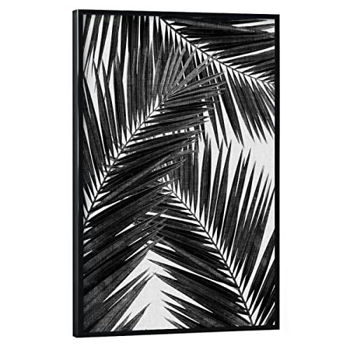 artboxONE Poster mit schwarzem Rahmen 60x40 cm Natur Cohune Palm III Black White - Bild palmblätter schwarzweiß von artboxONE