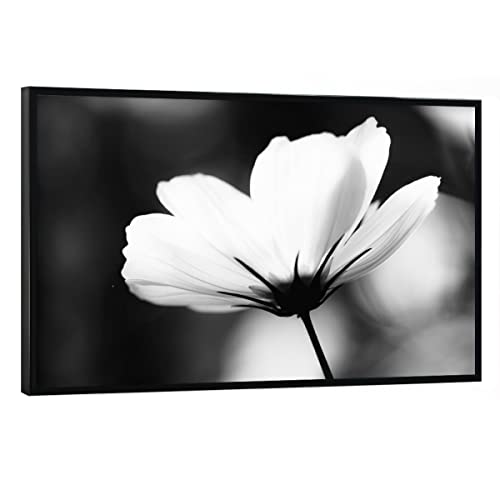 artboxONE Poster mit schwarzem Rahmen 60x40 cm Natur Lightful - Bild Blume Blume blumig artboxONE Poster mit schwarzem Rahmen 60x40 cm Natur Lightful - Bild Blume Blume blumig von artboxONE