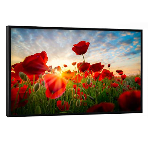 artboxONE Poster mit schwarzem Rahmen 60x40 cm Natur Poppies Sky - Bild Poppies Blumenfeld blumenmeer von artboxONE