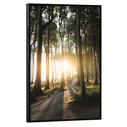 artboxONE Poster mit schwarzem Rahmen 60x40 cm Natur Sonnenaufgang im Küstenwald - Bild Sonnenaufgang fine Art Forest von artboxONE