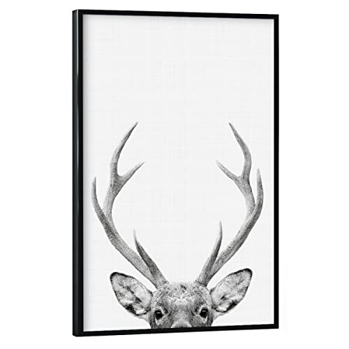 artboxONE Poster mit schwarzem Rahmen 60x40 cm Prints & Kunstdrucke Für Kinder Deer Portrait - Bild geweih von artboxONE