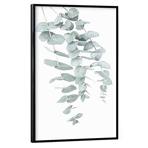 artboxONE Poster mit schwarzem Rahmen 60x40 cm Prints & Kunstdrucke Natur Eucalyptus I - Bild eukalyptus artboxONE Poster mit schwarzem Rahmen 60x40 cm Prints & Kunstdrucke Natur Eucalyptus I - Bild eukalyptus von artboxONE