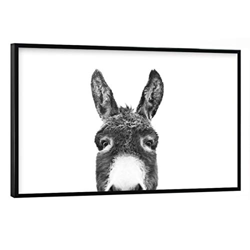 artboxONE Poster mit schwarzem Rahmen 60x40 cm Tiere Peeking Donkey - Bild Donkey Black and White Donkey von artboxONE