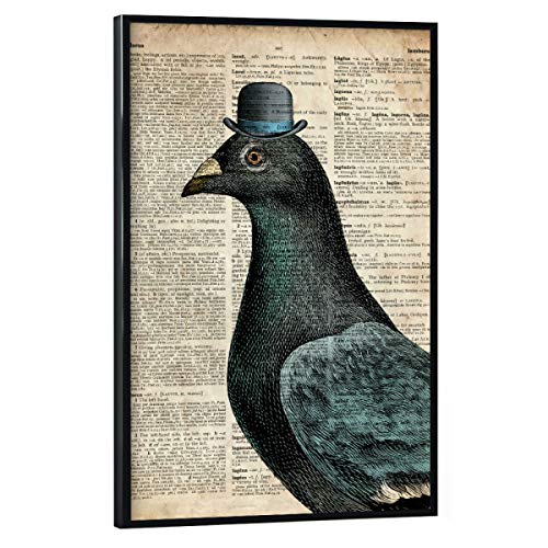 artboxONE Poster mit schwarzem Rahmen 60x40 cm Tiere Taube in einem Hut - Bild Hut Gentleman Hut von artboxONE
