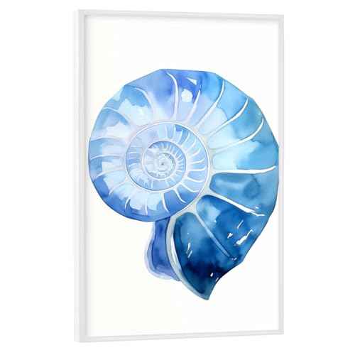 artboxONE Poster mit weiem Rahmen 60x40 cm Natur Sanfte Nautilus Muschel - Bild Nautilus von artboxONE