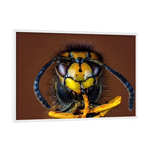 artboxONE Poster mit weißem Rahmen 18x13 cm Tiere Wespe hochwertiger Design Kunstdruck - Bild wespe insekt Insekten von artboxONE