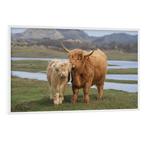 artboxONE Poster mit weißem Rahmen 30x20 cm Sehenswürdigkeiten Tiere Highland Rinder - Bild Natur Highland Natur von artboxONE