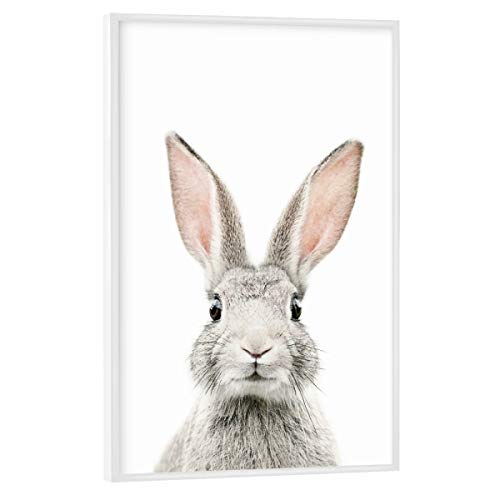 artboxONE Poster mit weißem Rahmen 30x20 cm Tiere Baby Bunny hochwertiger Design Kunstdruck - Bild Bunny Rabbit von artboxONE