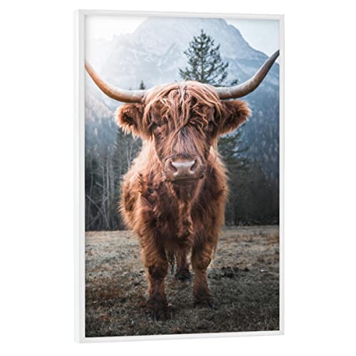 artboxONE Poster mit weißem Rahmen 45x30 cm Natur Highland Cow in Nature - Bild Highland Berge Cow von artboxONE