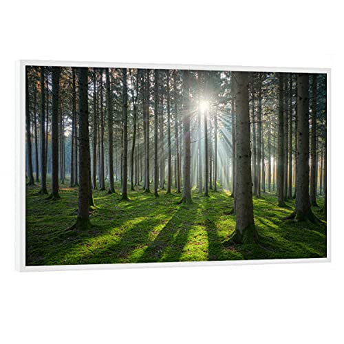 artboxONE Poster mit weißem Rahmen 45x30 cm Natur Sonniger Wald - Bild Natur entstannung erhohlung von artboxONE