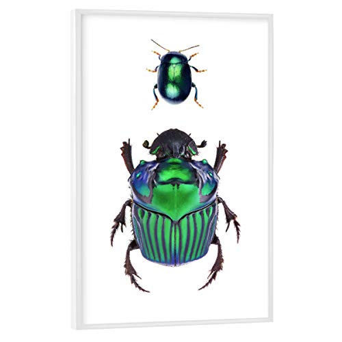 artboxONE Poster mit weißem Rahmen 45x30 cm Natur Zwei seltene grüne Käfer - Bild käfer artenschutz entomologie artboxONE Poster mit weißem Rahmen 45x30 cm Natur Zwei seltene grüne Käfer - Bild käfer artenschutz entomologie von artboxONE