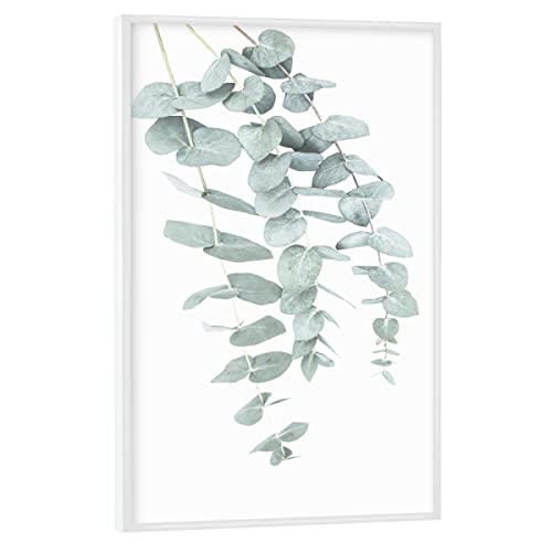 artboxONE Poster mit weißem Rahmen 45x30 cm Prints & Kunstdrucke Natur Eucalyptus I - Bild eukalyptus von artboxONE