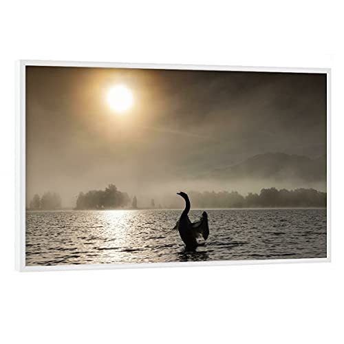 artboxONE Poster mit weißem Rahmen 60x40 cm Natur Schwan am Kochelsee im Gegenlicht - Bild Schwan Bayern gegenlicht von artboxONE