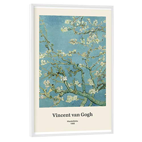 artboxONE Poster mit weißem Rahmen 60x40 cm Natur V. Van Gogh - Mandelblüte - Bild mandelblüte Blumen floral von artboxONE