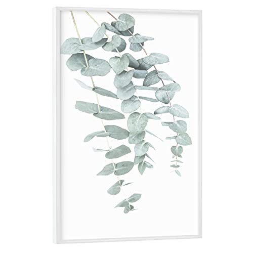 artboxONE Poster mit weißem Rahmen 75x50 cm Prints & Kunstdrucke Natur Eucalyptus I - Bild eukalyptus von artboxONE