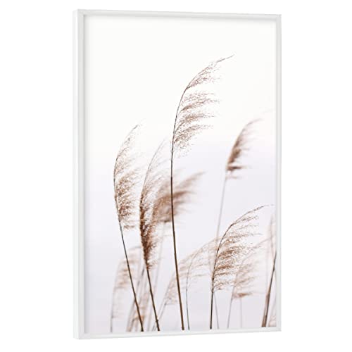 artboxONE Poster mit weißem Rahmen 90x60 cm Natur Modern Minimalist Plant - Bild modern Plant von artboxONE