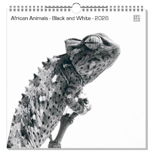 artboxONE Wandkalender Quadratisch 2026 African Animals - Black and White Wandkalender Quadratisch 2026 Tiere artboxONE Wandkalender Quadratisch 2026 African Animals - Black and White Wandkalender Quadratisch 2026 Tiere von artboxONE