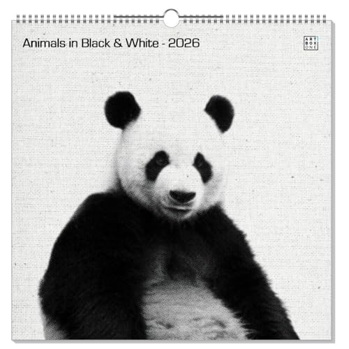 artboxONE Wandkalender Quadratisch XXL 2026 Animals in Black & White Wandkalender Quadratisch XXL 2026 Tiere artboxONE Wandkalender Quadratisch XXL 2026 Animals in Black & White Wandkalender Quadratisch XXL 2026 Tiere von artboxONE