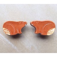 Biber - Tiere Möbelknöpfe Biber - Tiere Möbelknöpfe von artcrafthome