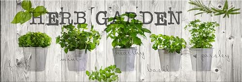 artissimo, Dekopanel, Deco Panel, ca. 90x30cm, PE5820-PA, Küche: Herb Garden, Bild, Wandbild, Wanddeko, Wanddekoration, Poster auf Decopanel von artissimo GmbH