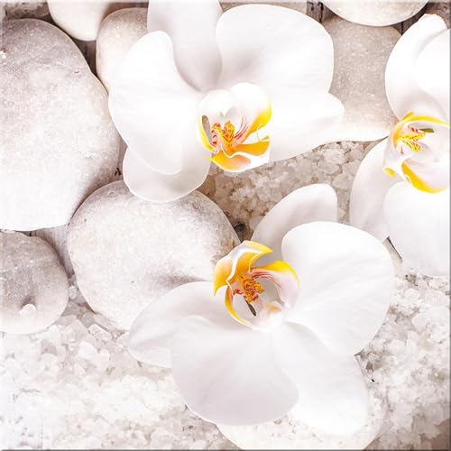 artissimo, Glasbild, 30x30cm, AG2072A, White Sence II, weiße Orchideen mit Steinen, Bild aus Glas, moderne Wanddekoration aus Glas, Wandbild Wohnzimmer modern von artissimo GmbH