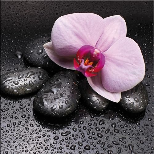 artissimo, Glasbild, 30x30cm, AG9138A, Zen pink, Steine und Orchideen, Bild aus Glas, moderne Wanddekoration aus Glas, Wandbild Wohnzimmer modern von artissimo GmbH