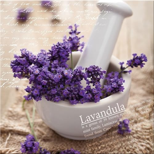 artissimo, Glasbild, 30x30cm, AG2063A, Lavandula I, Blumen-Bild Lavendel, Bild aus Glas, moderne Wanddekoration aus Glas, Wandbild Wohnzimmer modern von artissimo