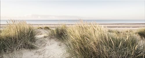 artissimo, Glasbild XXL, 125x50 cm Querformat, AG5423A, Strand und Meer: Dünen-Landschaft, Bild aus Glas groß, Wanddeko, Wandbild Wohnzimmer modern, länglich von artissimo