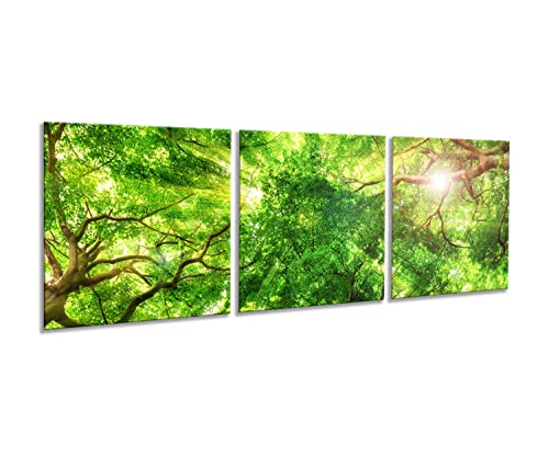 artissimo, Glasbild mehrteilig XXL, 3-teilig ca.150x50cm, AG5287A, Wald Bäume Lichtung, Bild aus Glas, 3-Teiler, moderne Wanddekoration aus Glas, Wandbild, Wohnzimmer modern, grün artissimo, Glasbild mehrteilig XXL, 3-teilig ca.150x50cm, AG5287A, Wald Bäume Lichtung, Bild aus Glas, 3-Teiler, moderne Wanddekoration aus Glas, Wandbild, Wohnzimmer modern, grün von artissimo