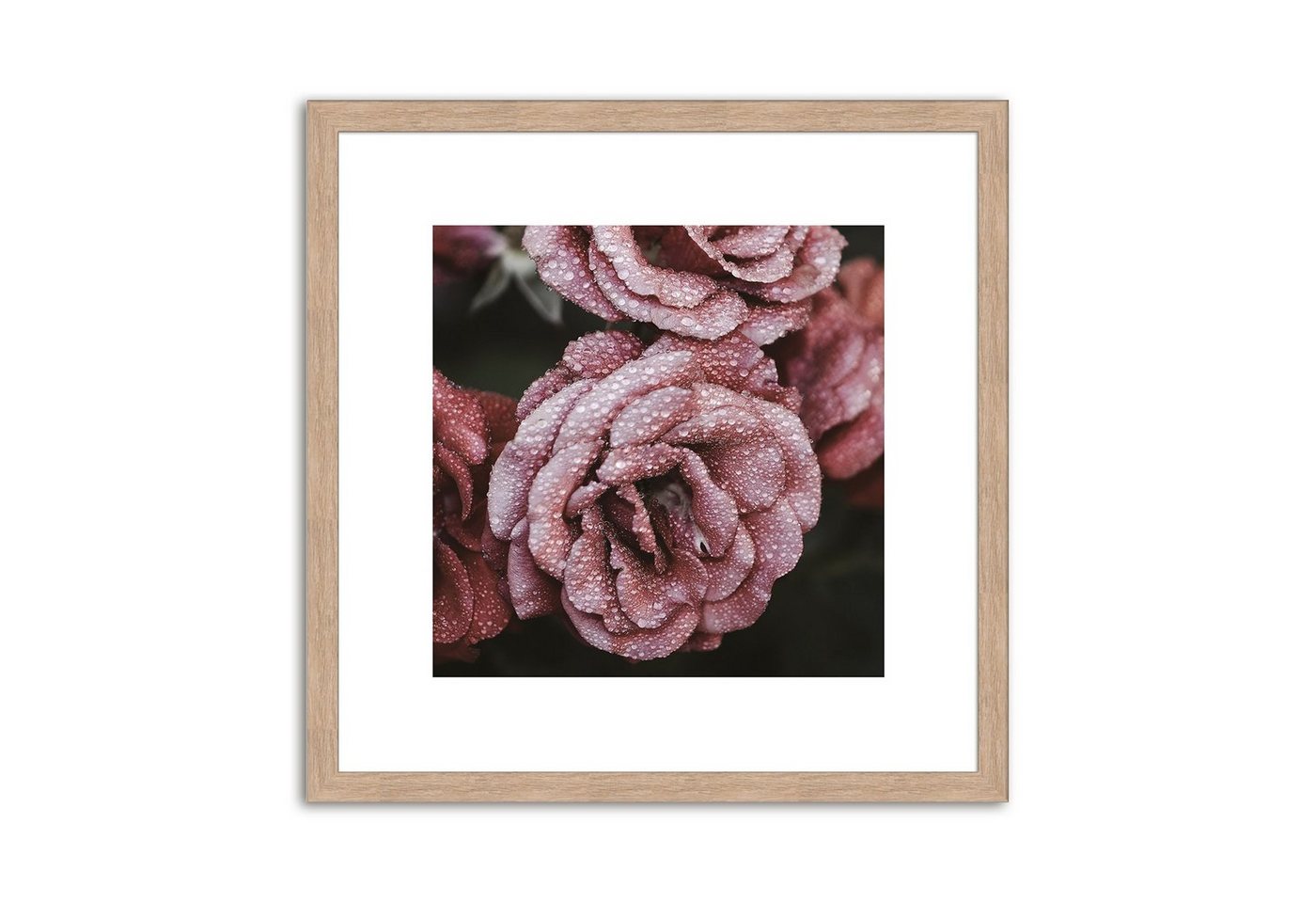 artissimo Bild mit Rahmen Bild gerahmt 30x30cm / Design-Poster inkl. Holz-Rahmen / Wandbild, Blumen: Lila Blüten IV von artissimo