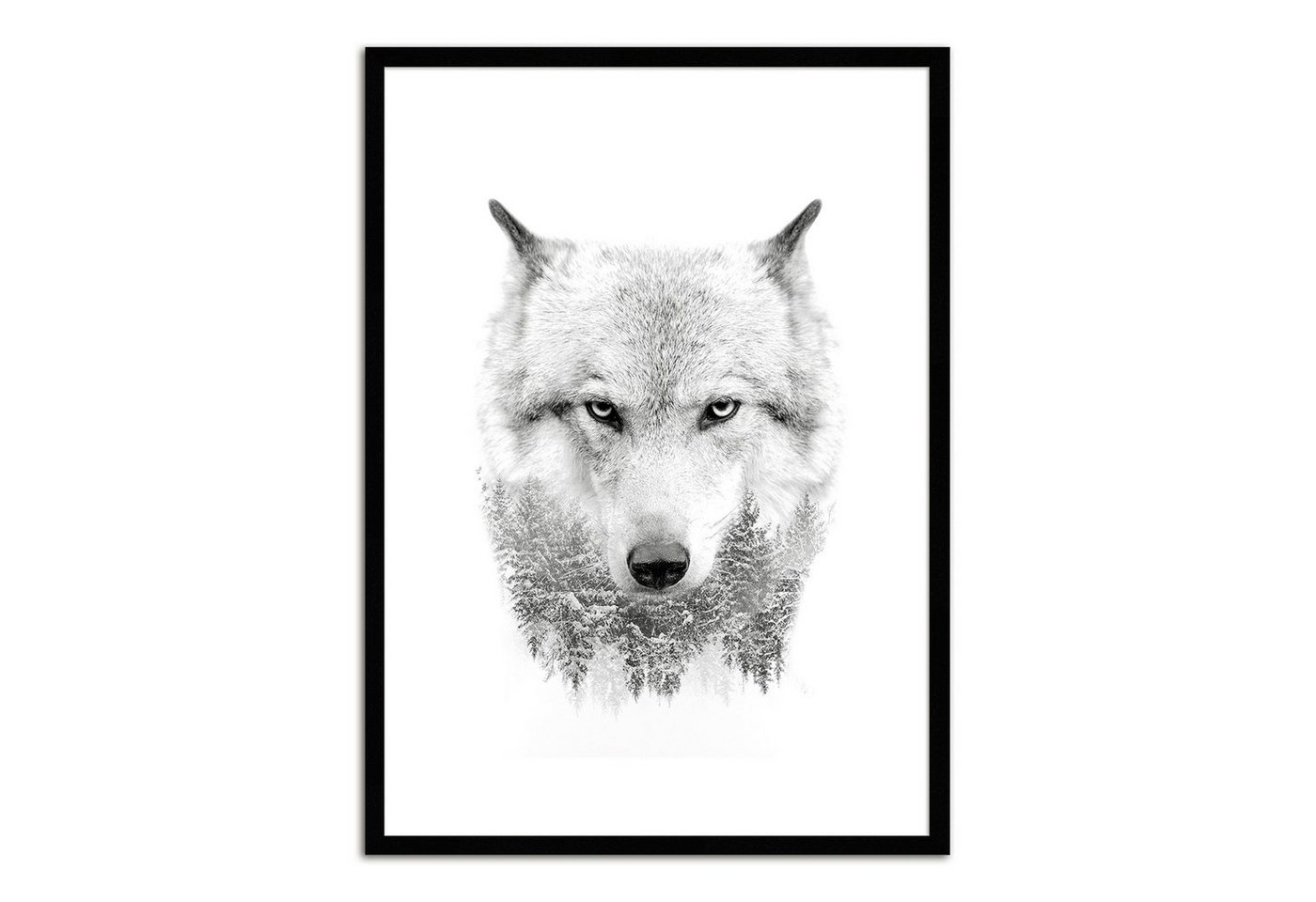 artissimo Bild mit Rahmen Bild gerahmt 51x71cm / Design-Poster mit Holz-Rahmen / Wandbild Wolf, Wolf von artissimo