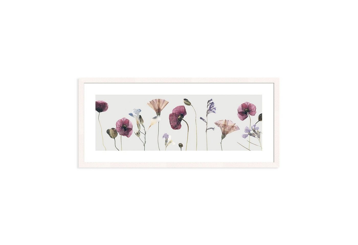 artissimo Bild mit Rahmen Bild gerahmt 71x30cm Design-Poster mit Rahmen länglich Mohn weiß lila, Gräser: Pampas-Gras von artissimo