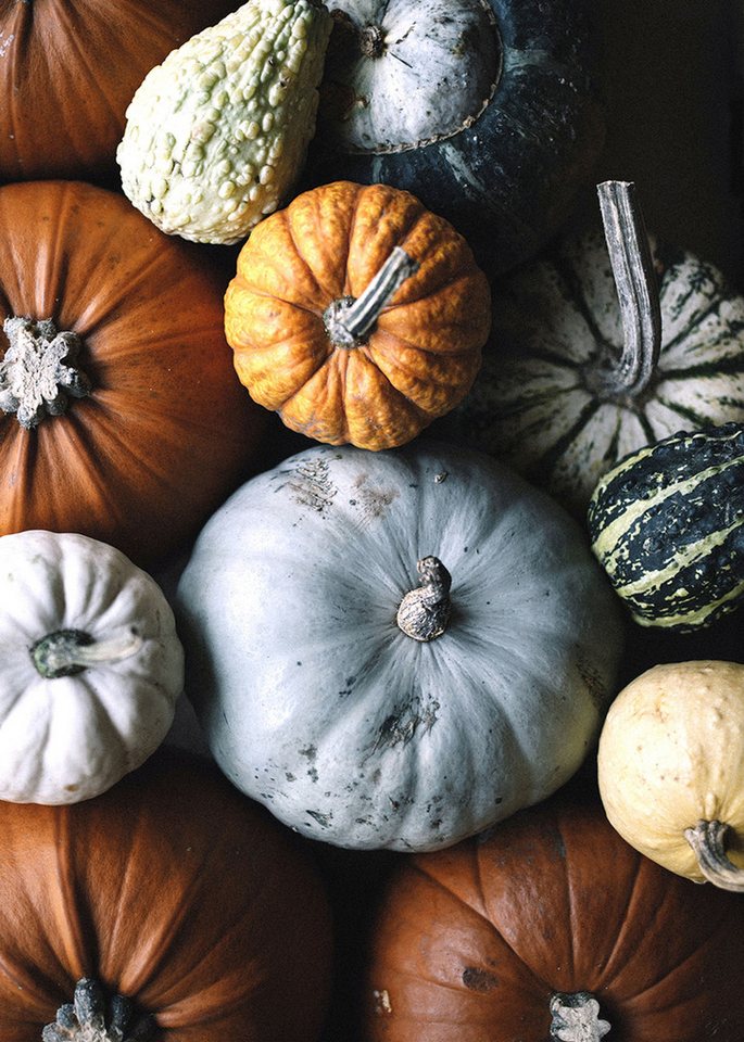 artissimo Deco-Panel Dekopanel ca.20x30cm Wandbild Bild leicht Herbst Herbstmotiv Kürbisse, Natural Moments: Kürbisse im Herbst artissimo Deco-Panel Dekopanel ca.20x30cm Wandbild Bild leicht Herbst Herbstmotiv Kürbisse, Natural Moments: Kürbisse im Herbst von artissimo