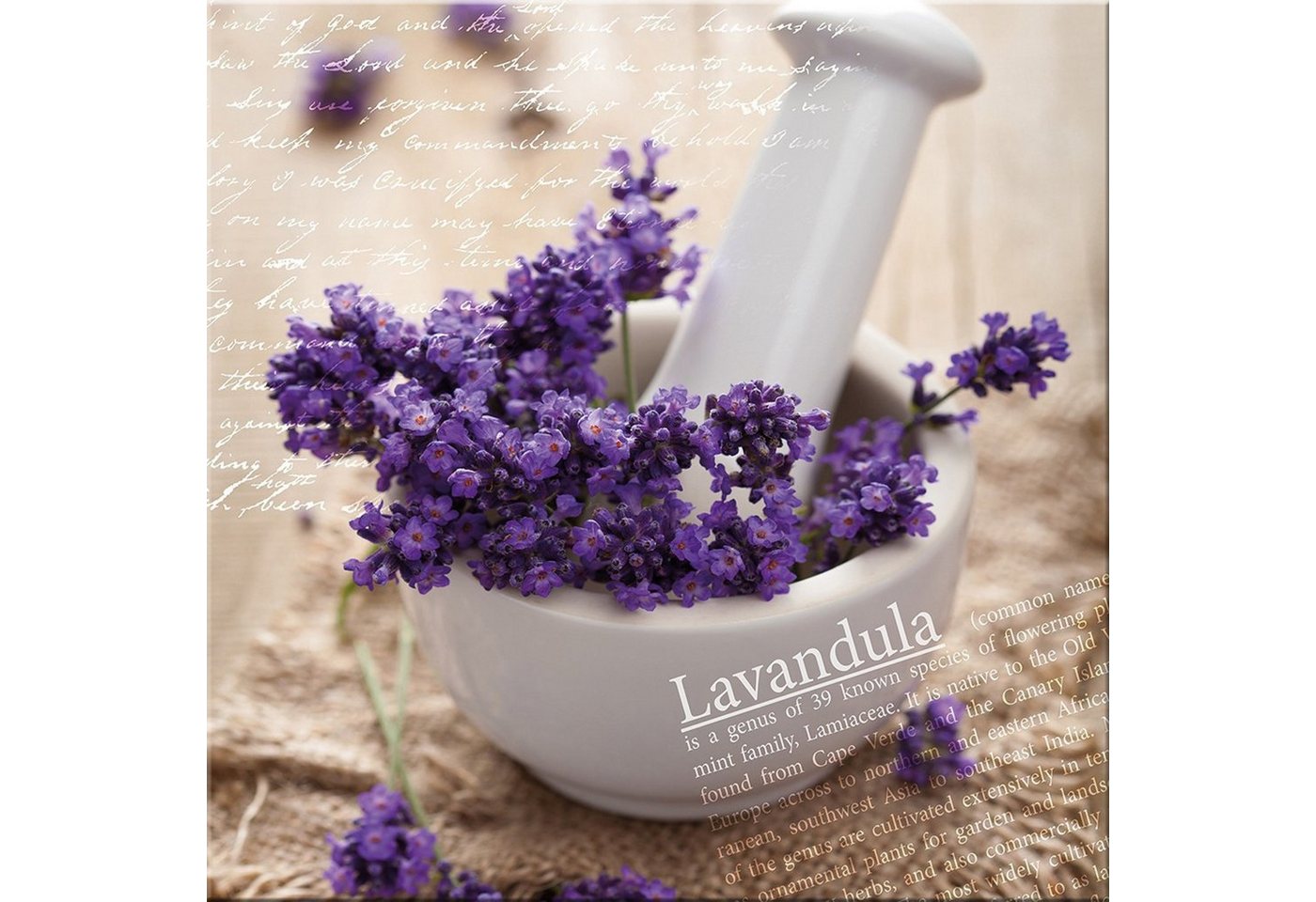 artissimo Glasbild Glasbild 30x30cm BIld Wellness Blumen Lavendel lila, Spa: Lavendel von artissimo