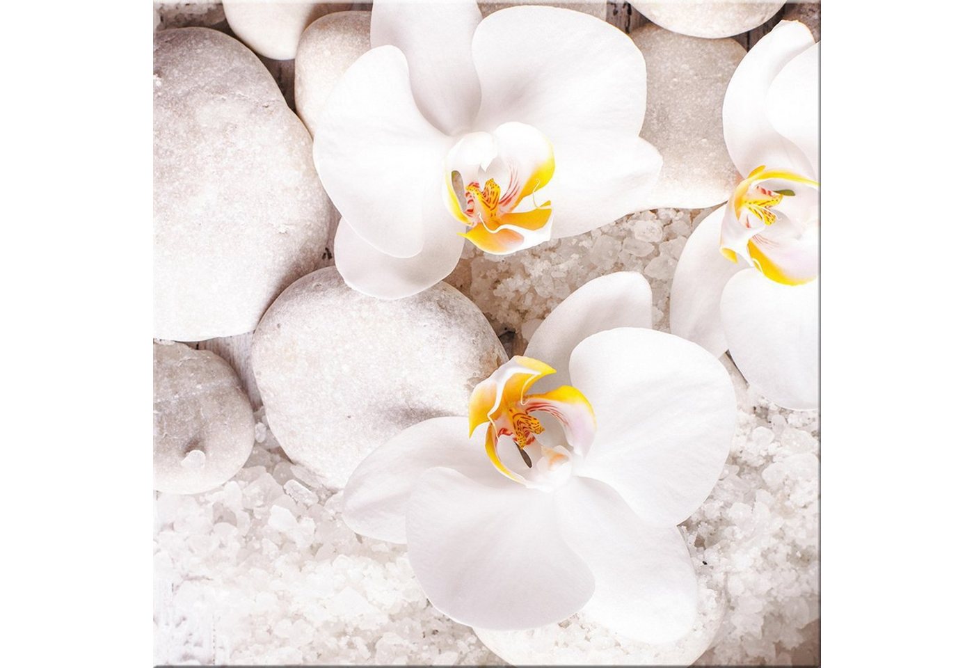 artissimo Glasbild Glasbild 30x30cm Bild Zen Spa Orchidee Blume weiß, Steine: weiße Orchideen von artissimo