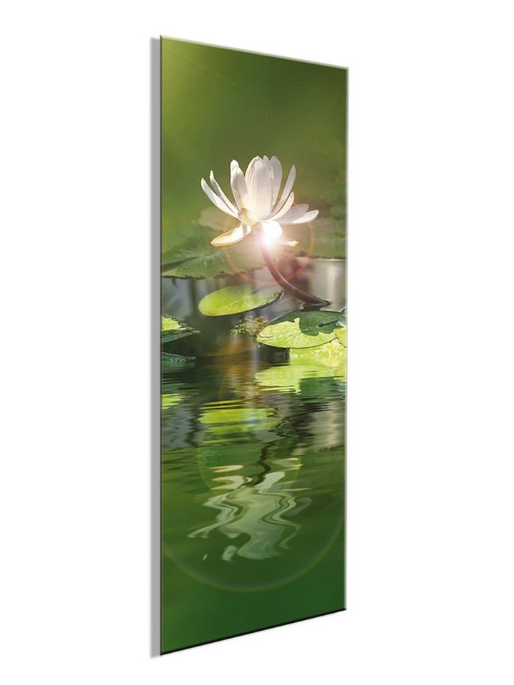 artissimo Glasbild Glasbild 30x80cm Bild aus Glas Blume Seerose grün hoch, Foto: Natur und Pflanzen II von artissimo