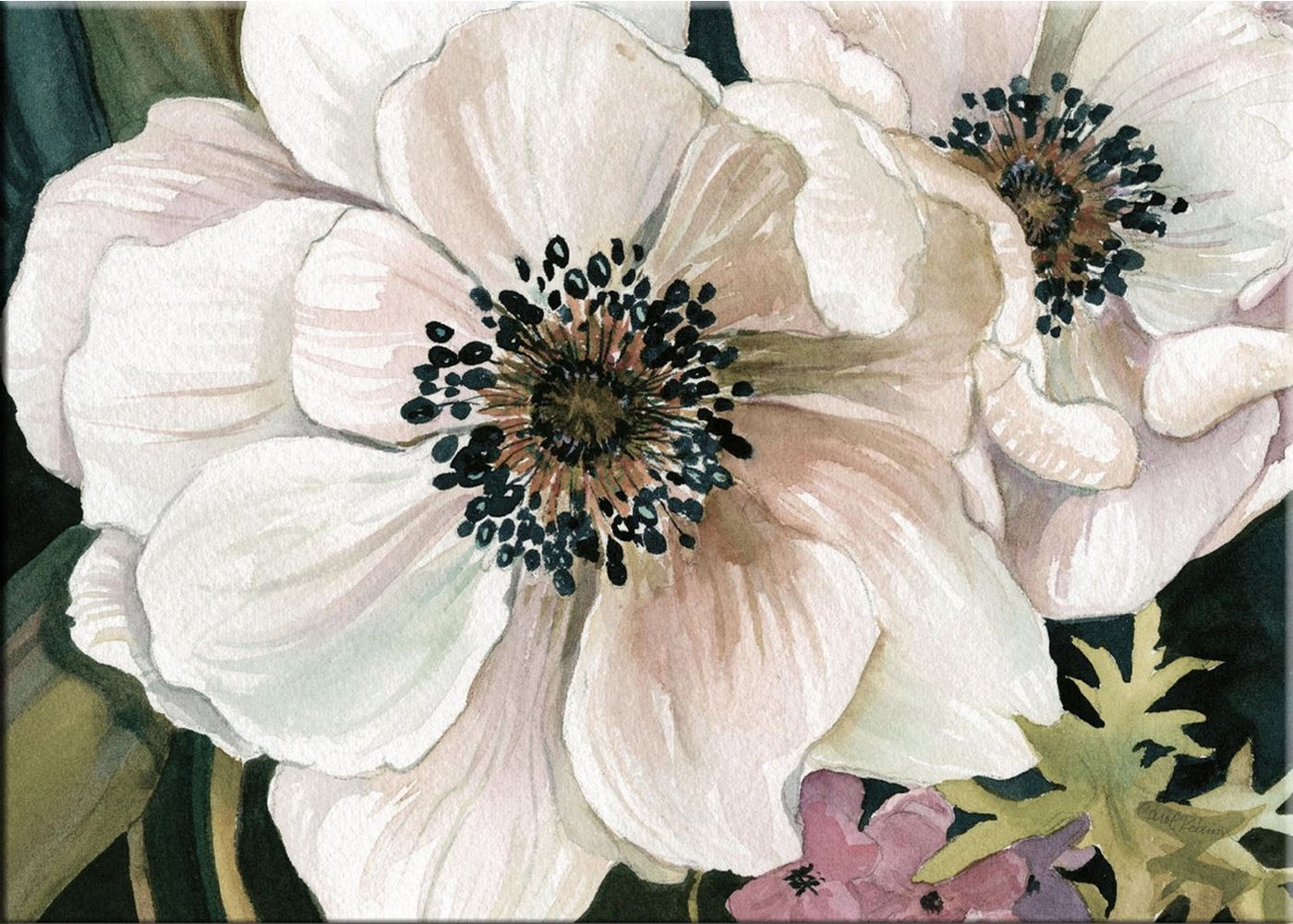 artissimo Leinwandbild artissimo Bild auf Leinwand 70x50cm Kunst-Edition Aquarell Blume Blüte, Carol Robinson: Anemone Study I von artissimo