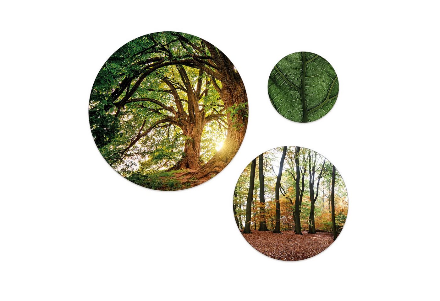 artissimo Mehrteilige Bilder mehrteiliges Bilder-Set 3 Wandbilder rund Wandkreise Wald und Bäume, Landschaft: Bäume und Blätter grün von artissimo