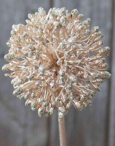 artplants.de Allium Kunstblume Hella, Glitzer, Champagner, 45cm - Zierlauch Künstlich/Kunst Allium von artplants.de