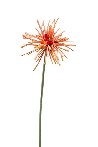 artplants.de Chrysantheme künstlich Susumu, orange, 60cm - Seidenblume Winteraster/Chrysanthemum Dekopflanze von artplants