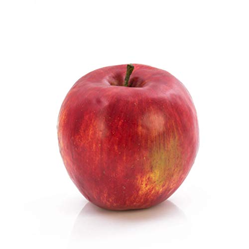 artplants.de Deko Apfel rot, 7,5cm, Ø 8cm - Früchte Deko - Künstliche Apfel von artplants