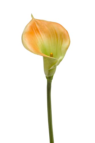 artplants.de Deko Blume Calla DAISCHI, gelb-grün, 70cm - Künstliche Zantedeschia von artplants.de